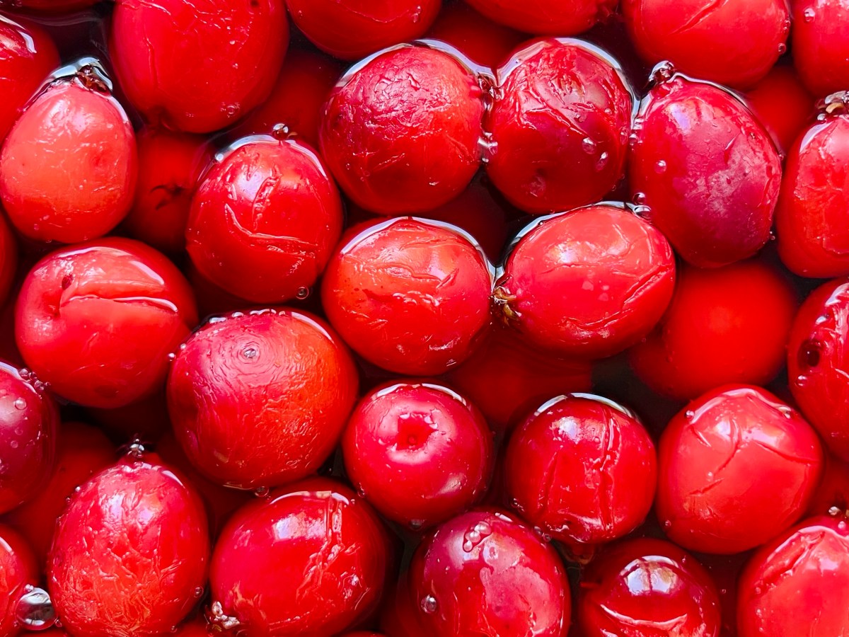 Kandeeratut koristeomenat